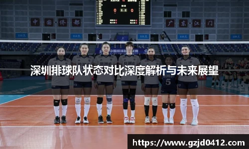 深圳排球队状态对比深度解析与未来展望