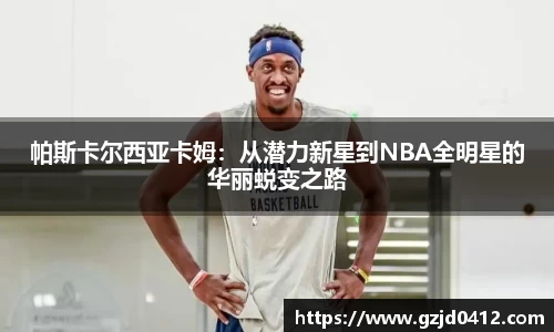 yy体育