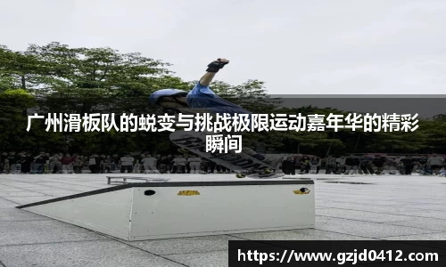 yy体育
